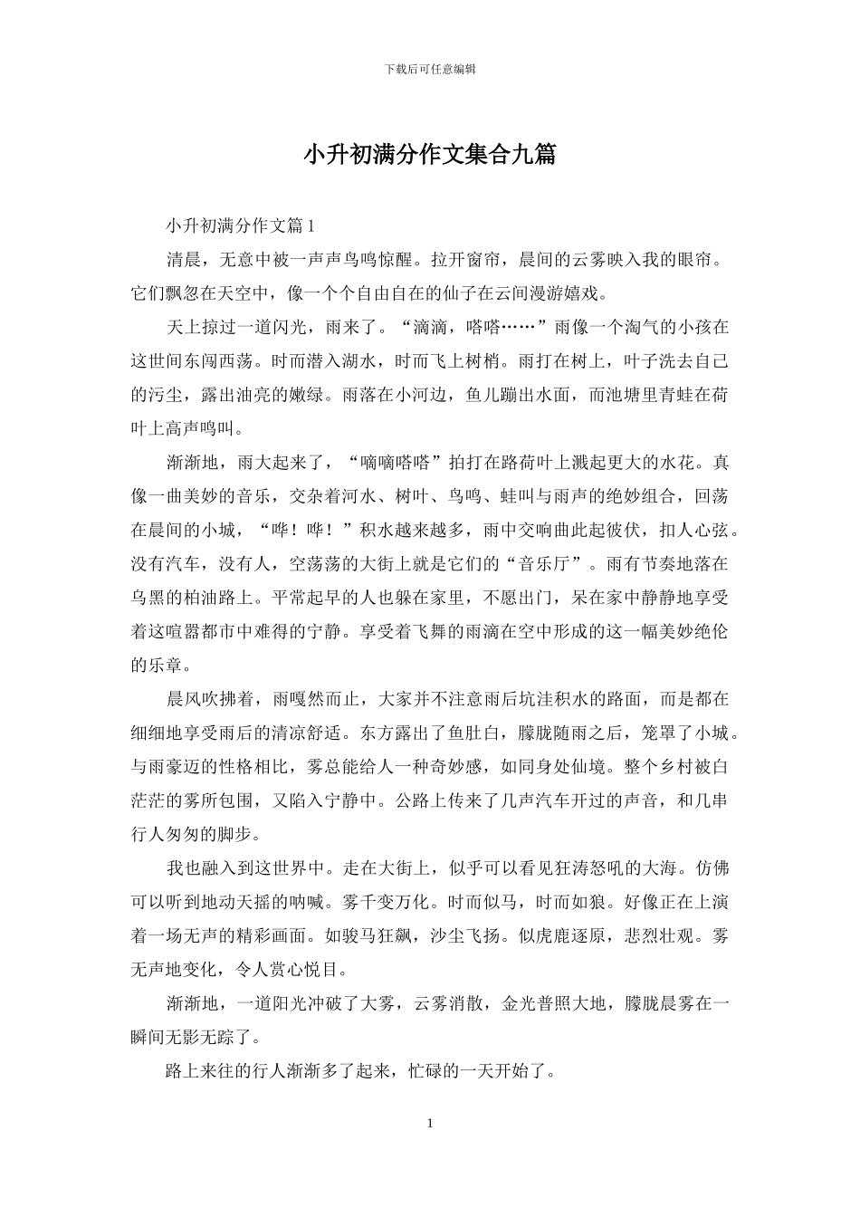 小升初满分作文集合九篇_第1页