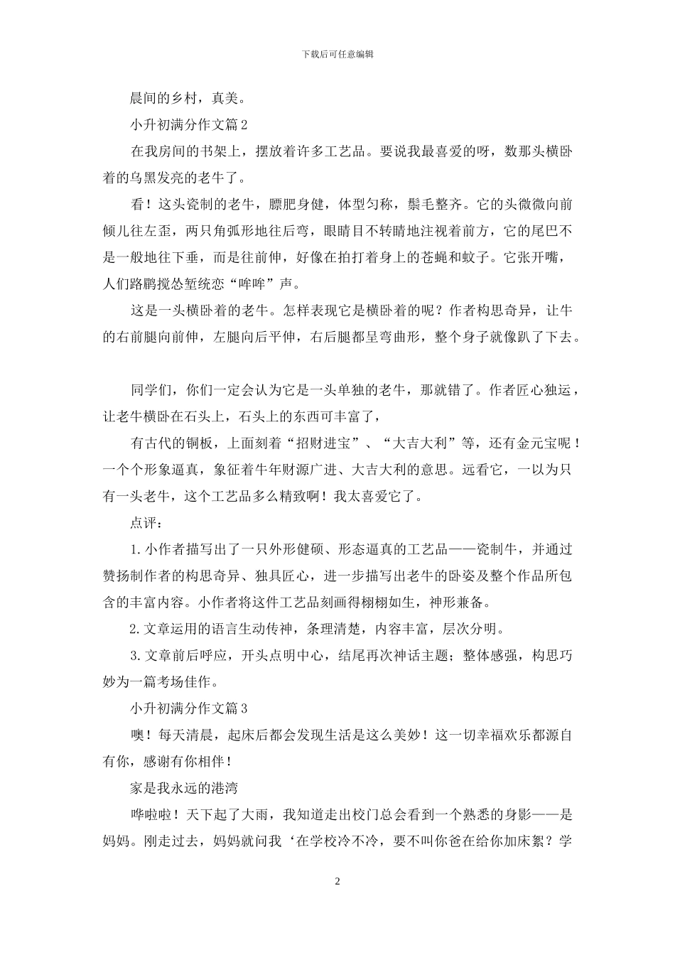 小升初满分作文集合九篇_第2页