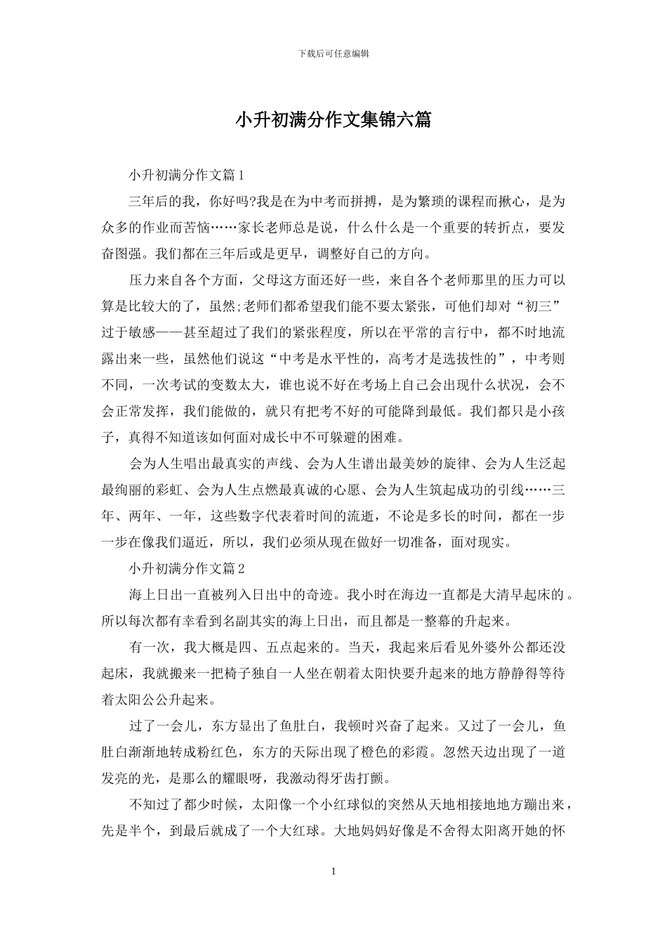 小升初满分作文集锦六篇_第1页