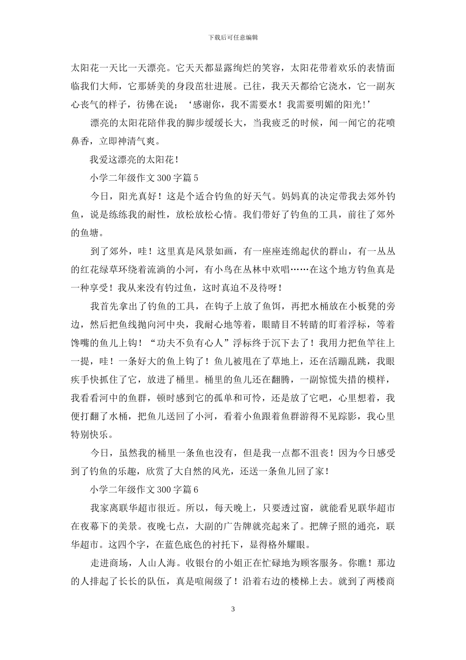 小学二年级作文300字9篇_第3页