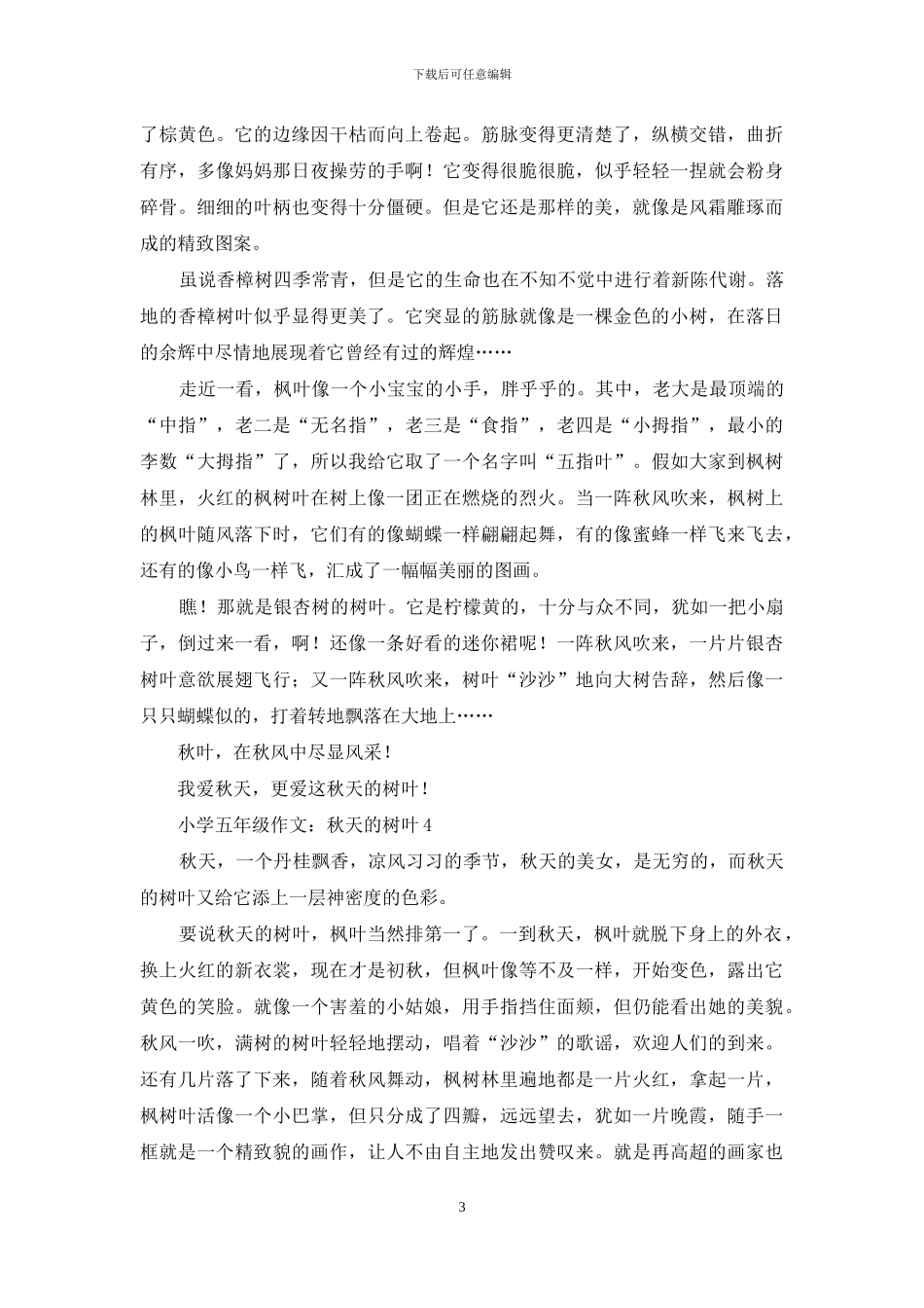 小学五年级作文：秋天的树叶-1_第3页