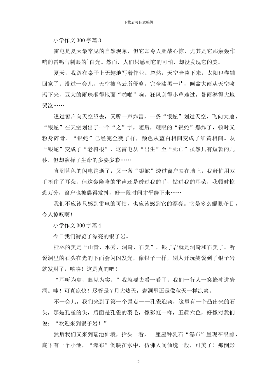 小学作文300字合集6篇-1_第2页