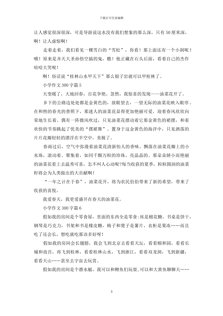 小学作文300字合集6篇-1_第3页