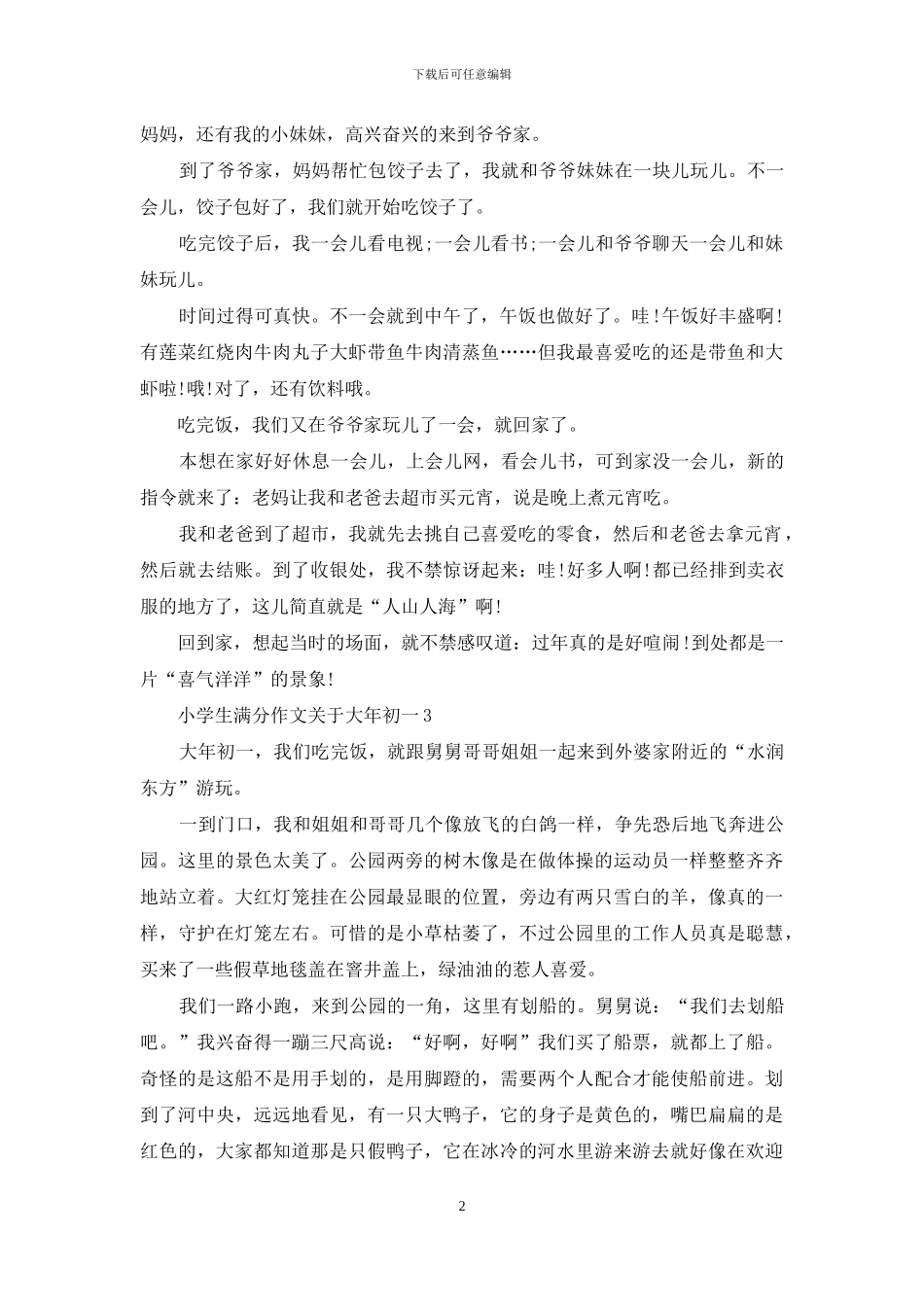 小学生作文关于大年初一_第2页
