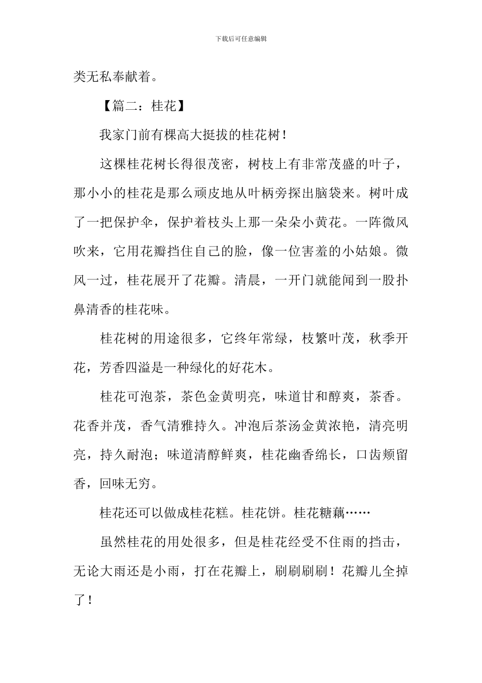 小学生写桂花的作文_第2页