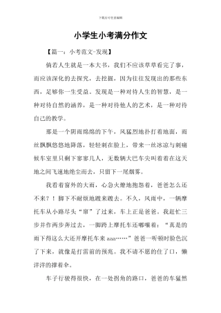 小学生小考满分作文