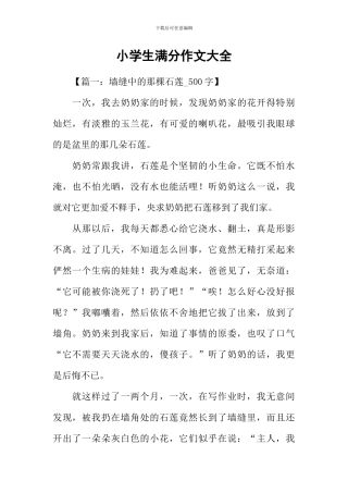 小学生满分作文大全-2