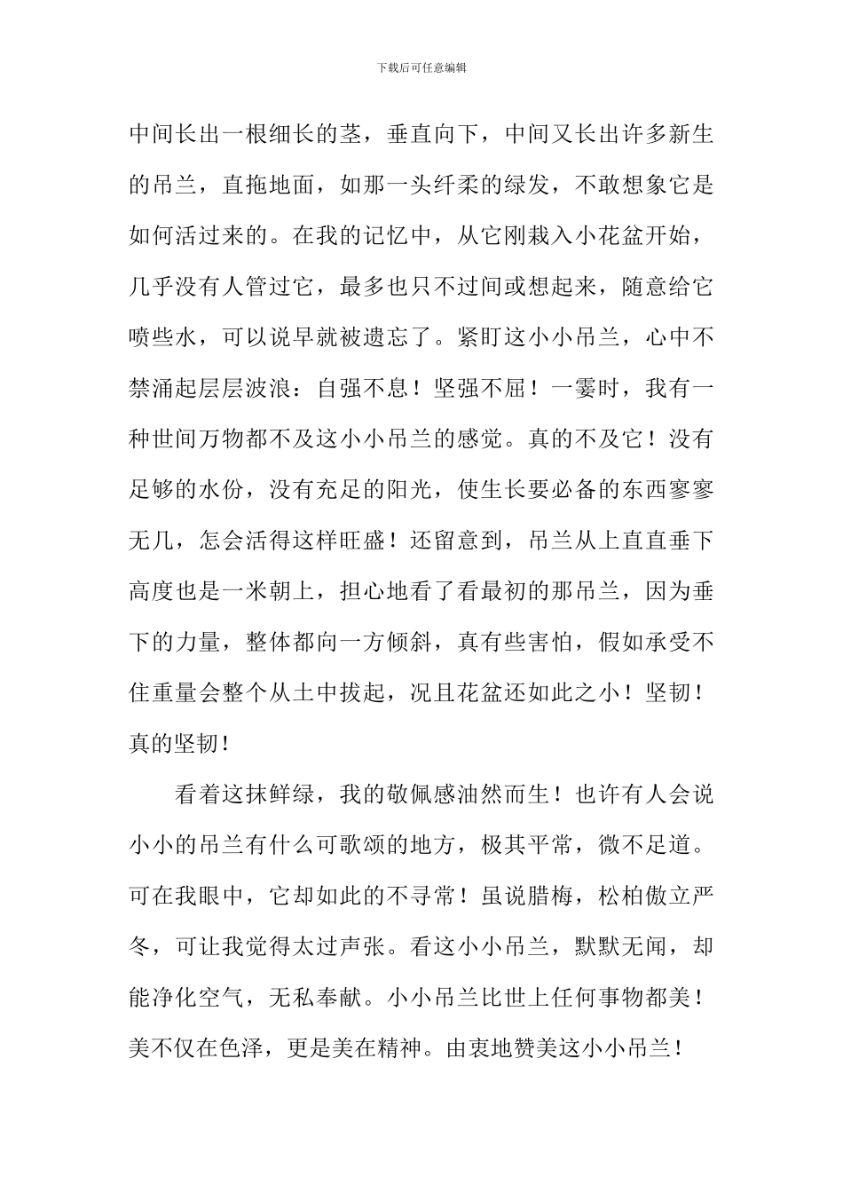 小小吊兰作文1000字_第2页