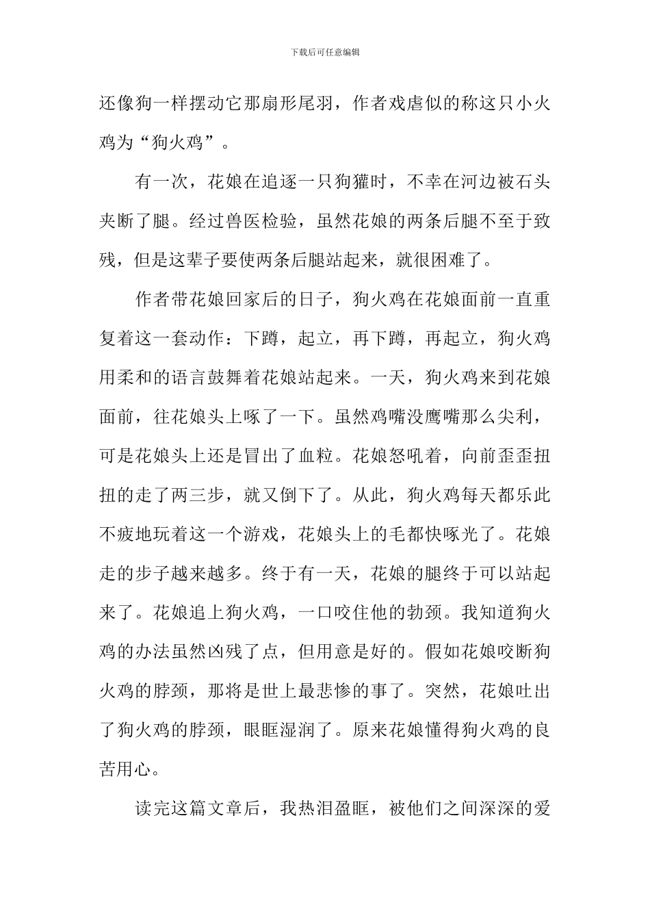 小火鸡与狗妈妈读后感_第3页