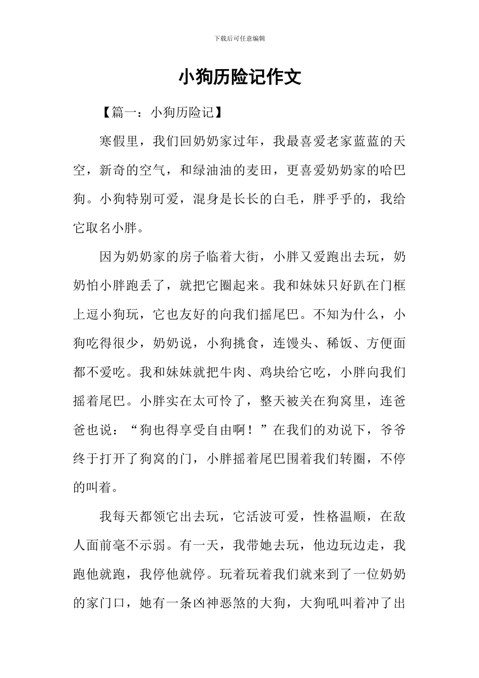 小狗历险记作文_第1页