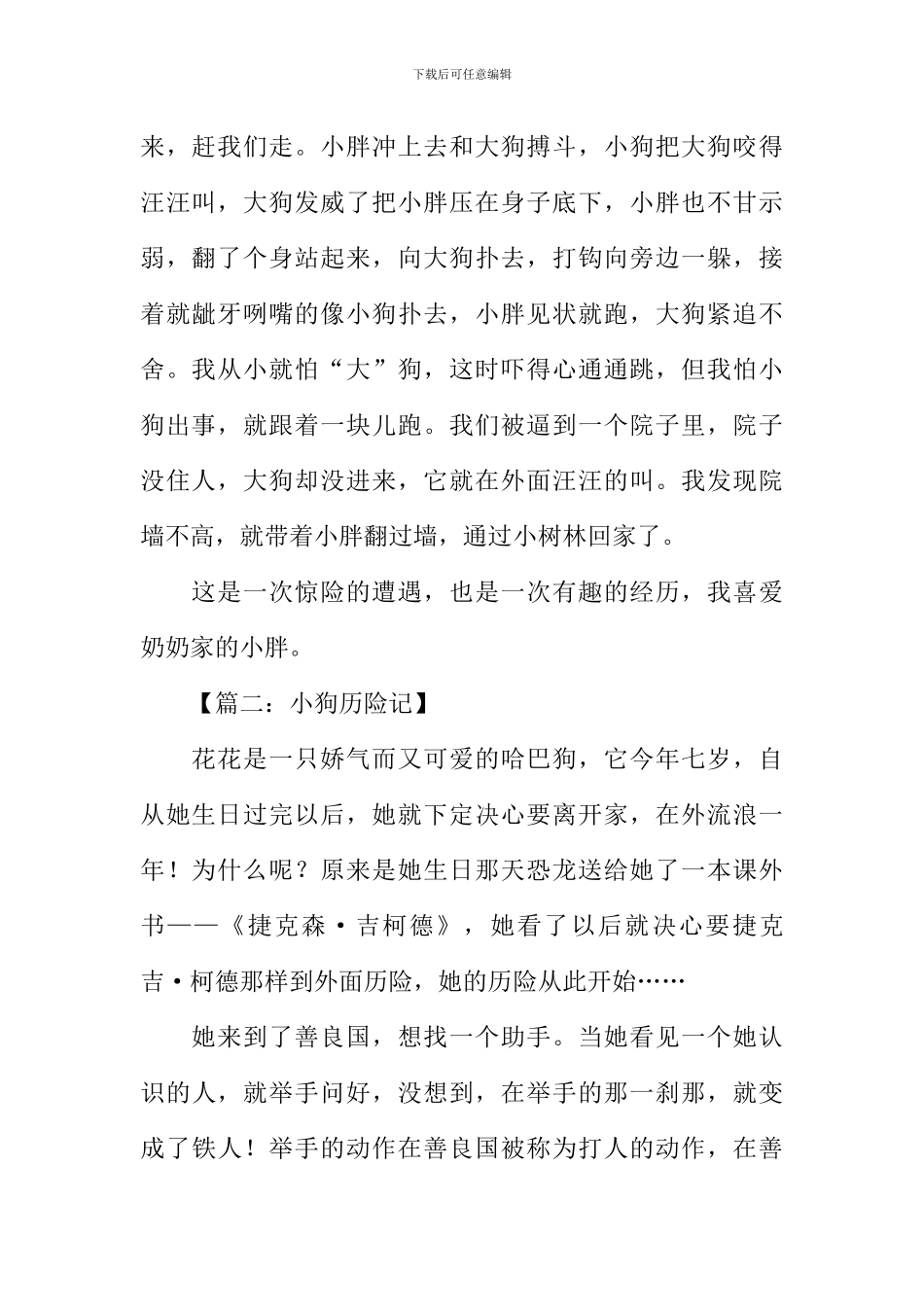 小狗历险记作文_第2页