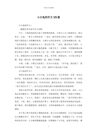 小白兔的作文15篇
