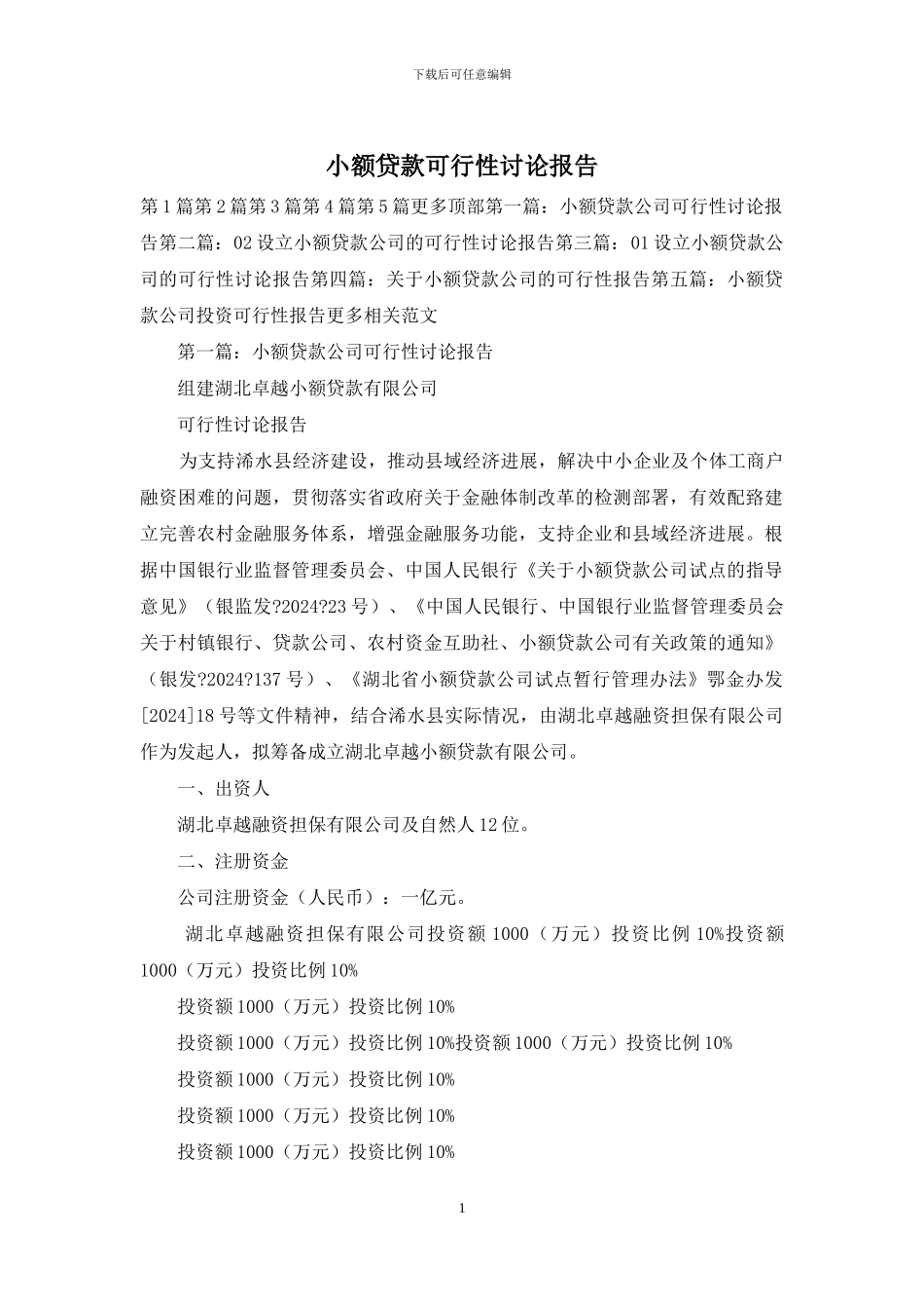 小额贷款可行性研究报告_第1页
