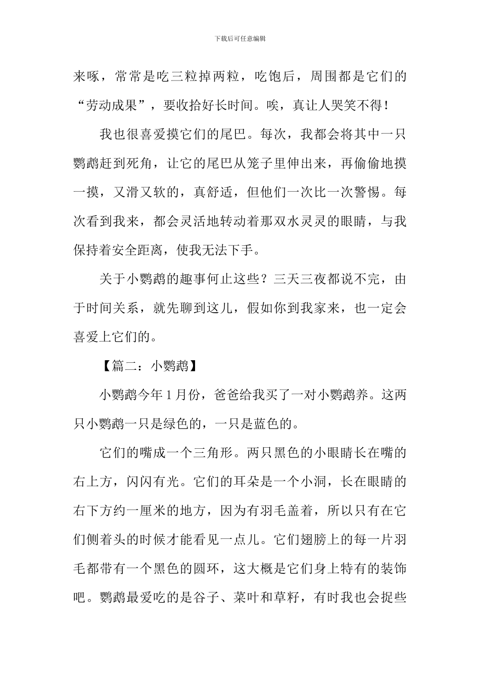 小鹦鹉作文500字_第2页