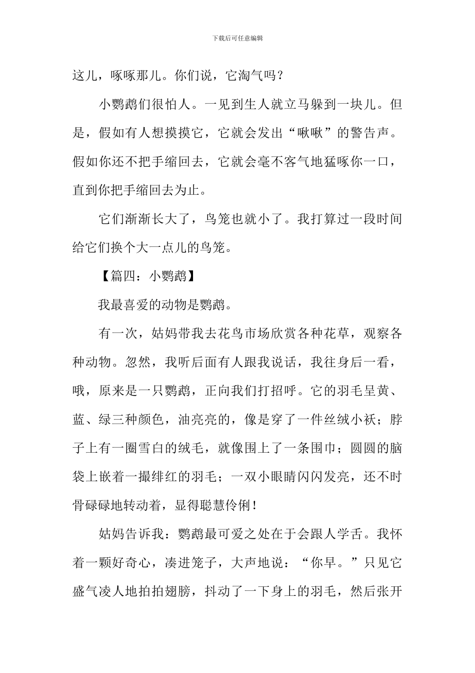 小鹦鹉作文300字_第3页