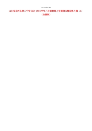 山东省东阿县第二中学2024-2024学年八年级物理上学期期末模拟练习题