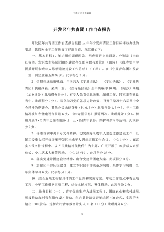 开发区年共青团工作自查报告