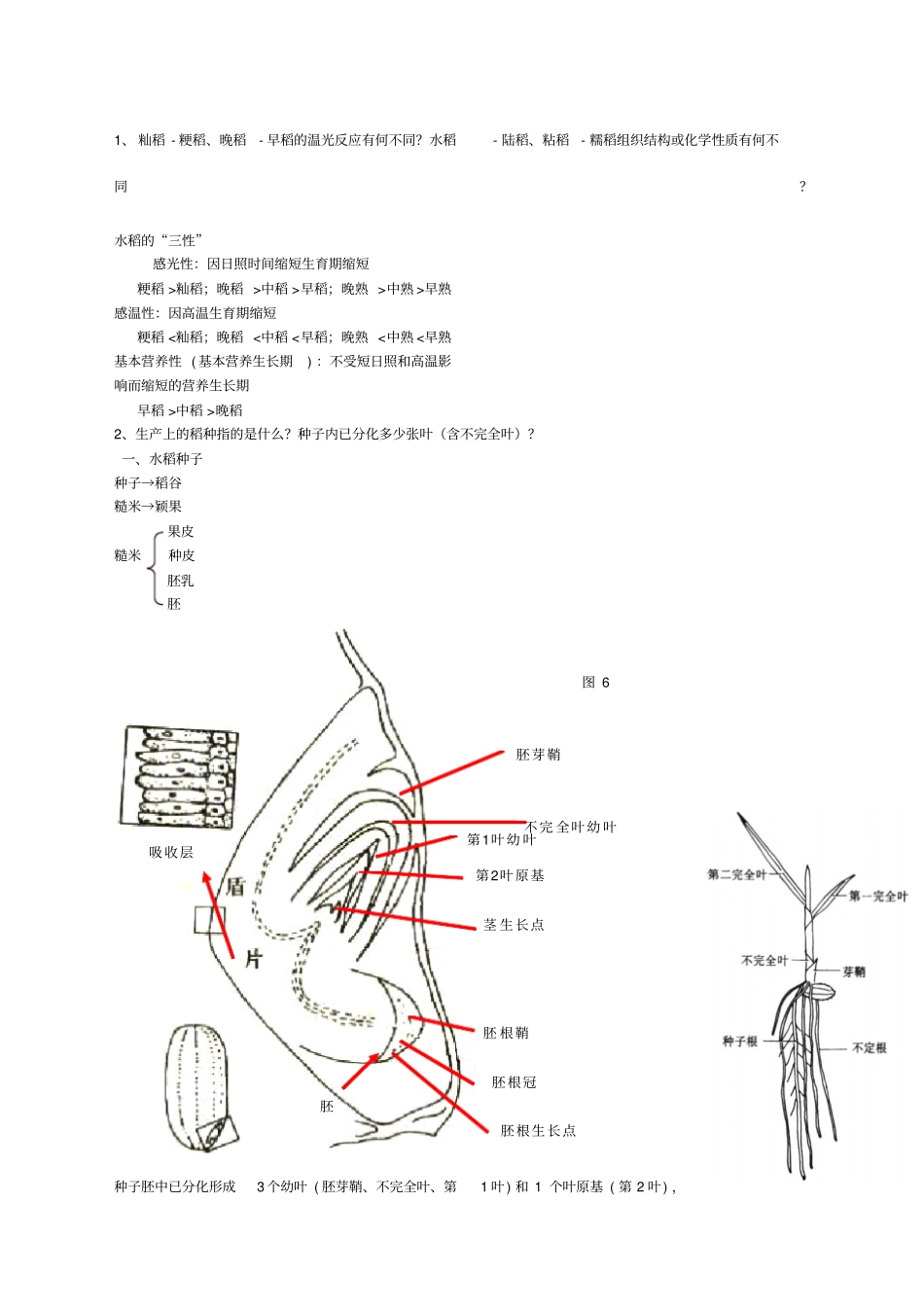 水稻栽培学考试重点_第1页