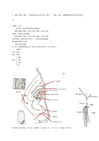 水稻栽培学考试重点