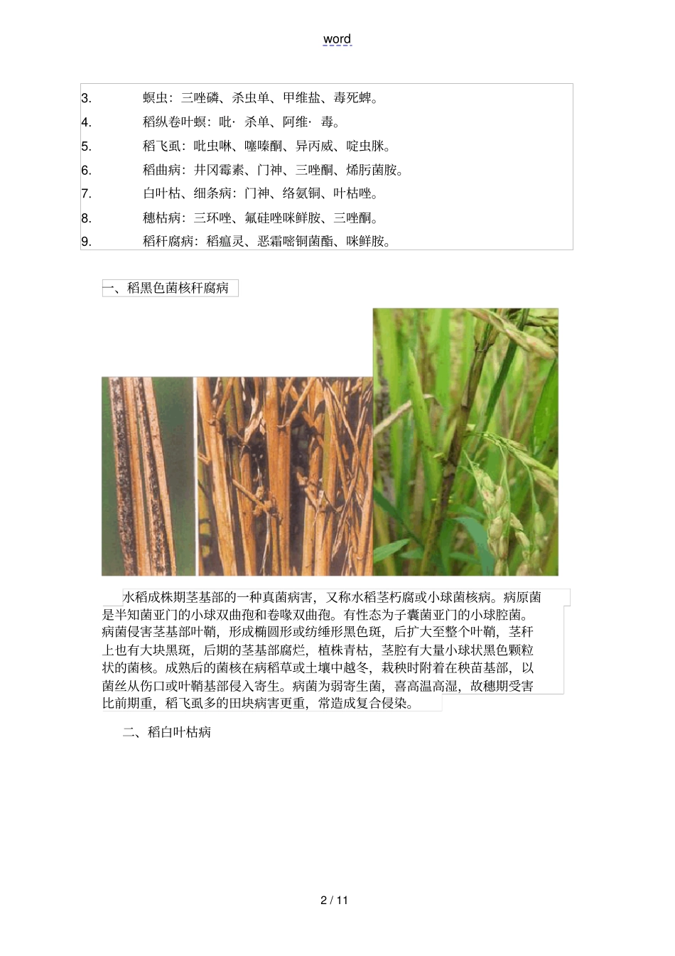 水稻病虫害种类及图片_第2页