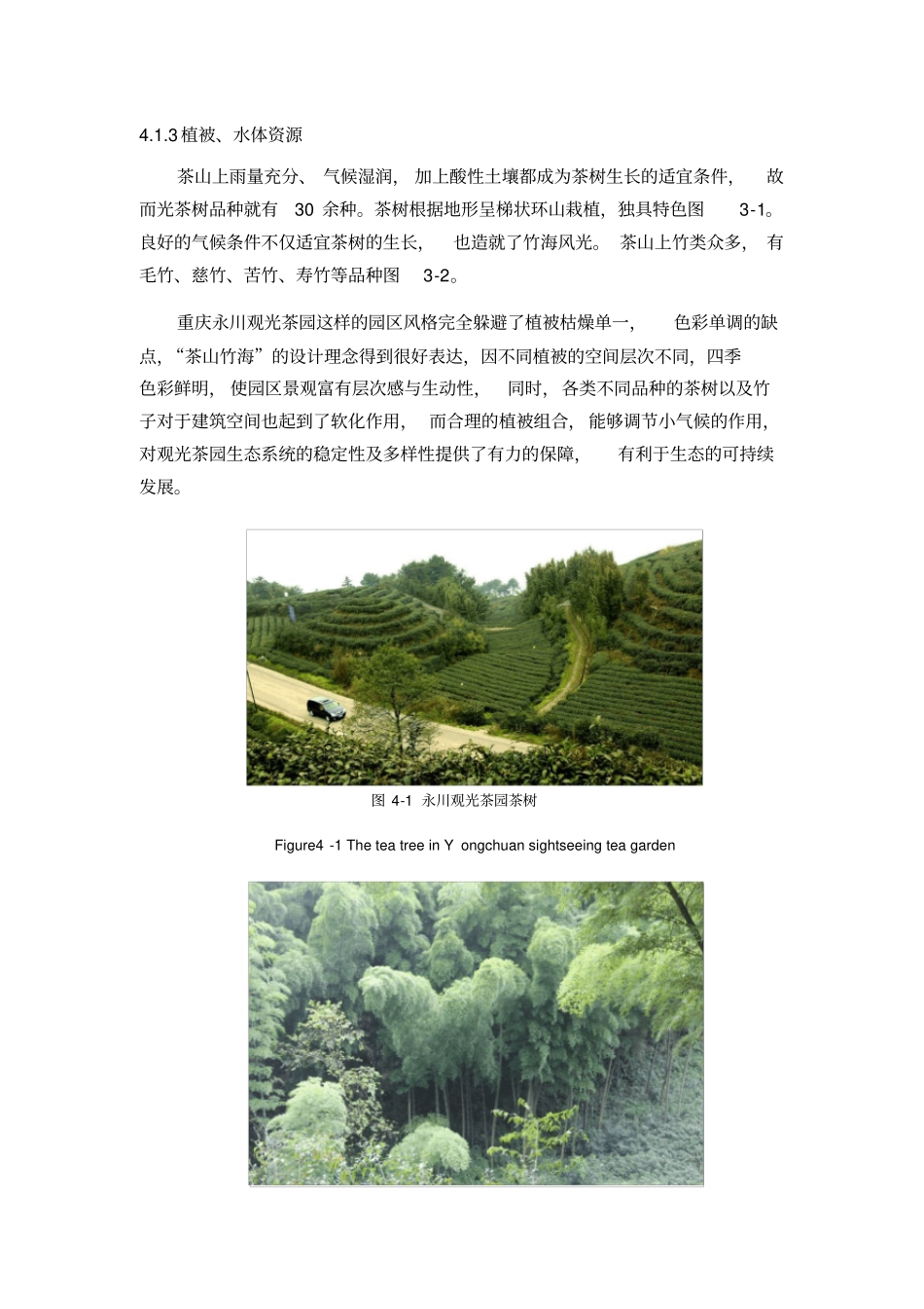 永川茶山观光茶园规划设计探析_第2页