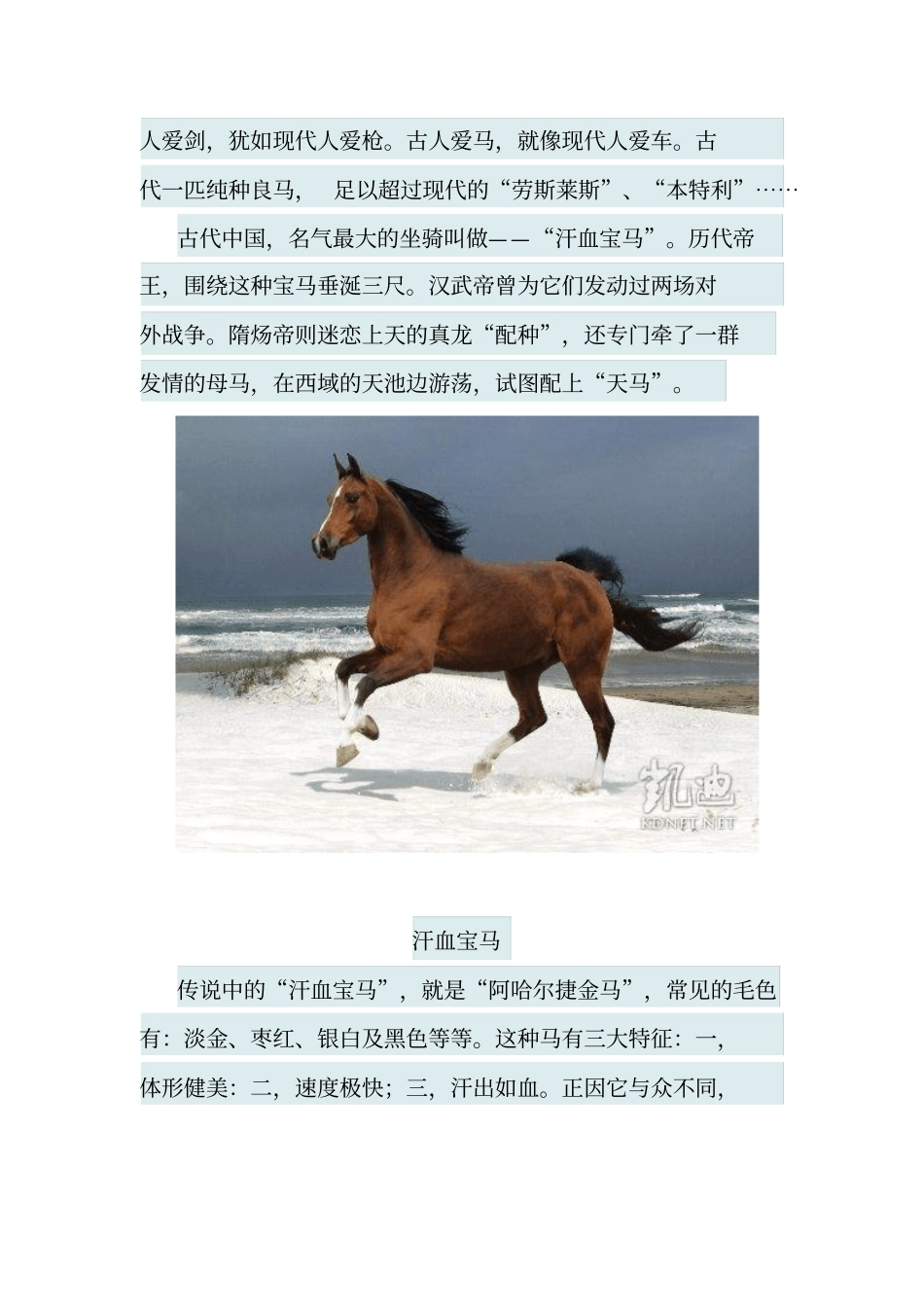 汗血宝马传说——历史故事丛之一,写给孩子们方案_第2页