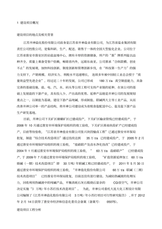 江苏井神盐化股份公司万吨年小苏打技术改造项目简本