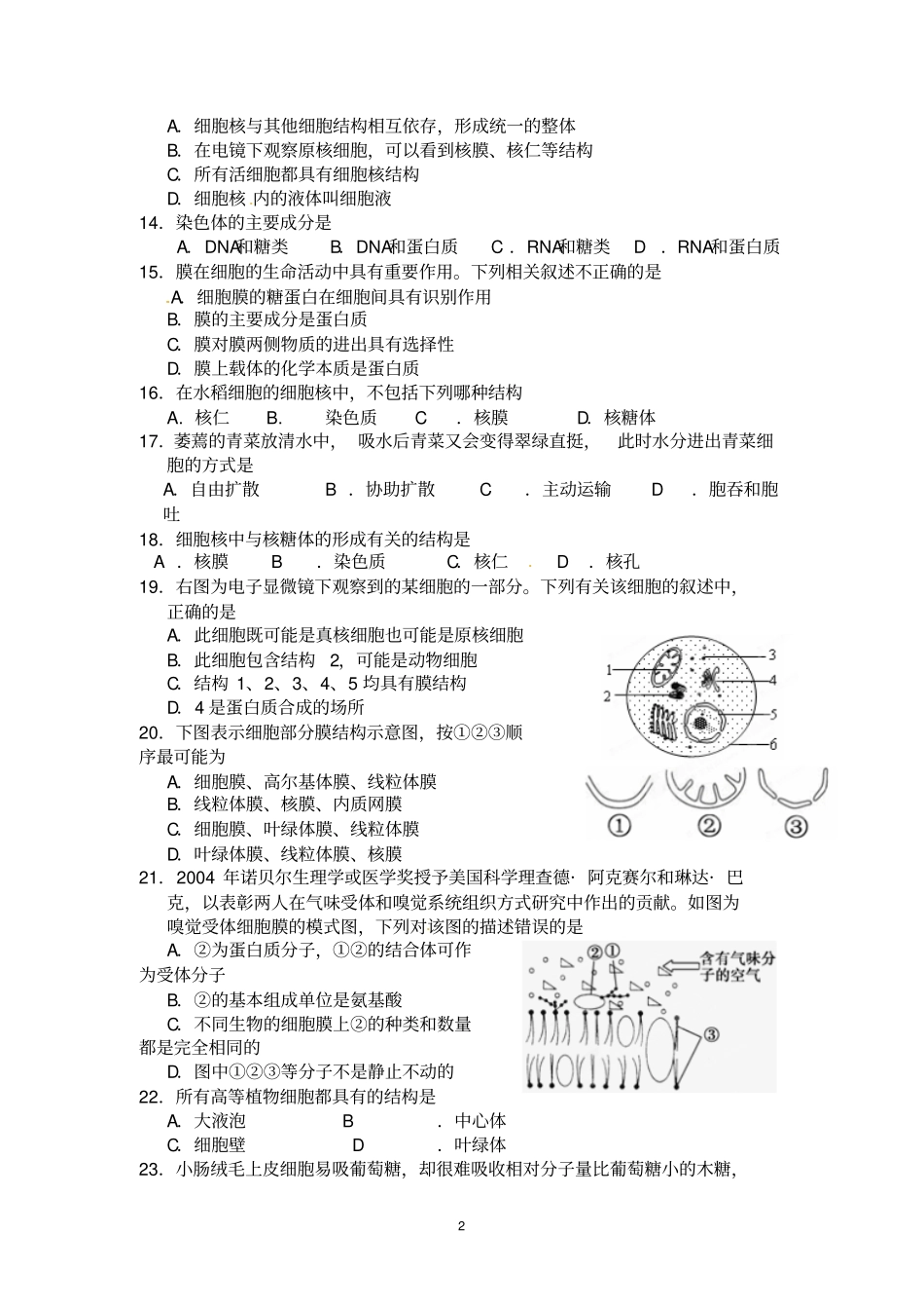 江苏学测复习练习专题二细胞的结构_第2页