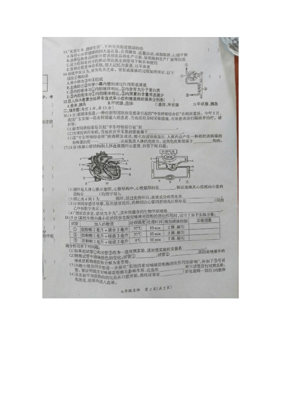 江西吉安永新年七年级生物下学期期末考试试题冀教版_第2页