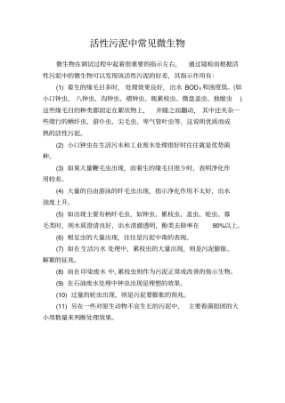 污水处理常见微生物高清晰照片说明