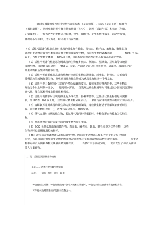 污水处理镜检总结