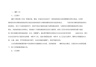 污水工艺介绍讲解