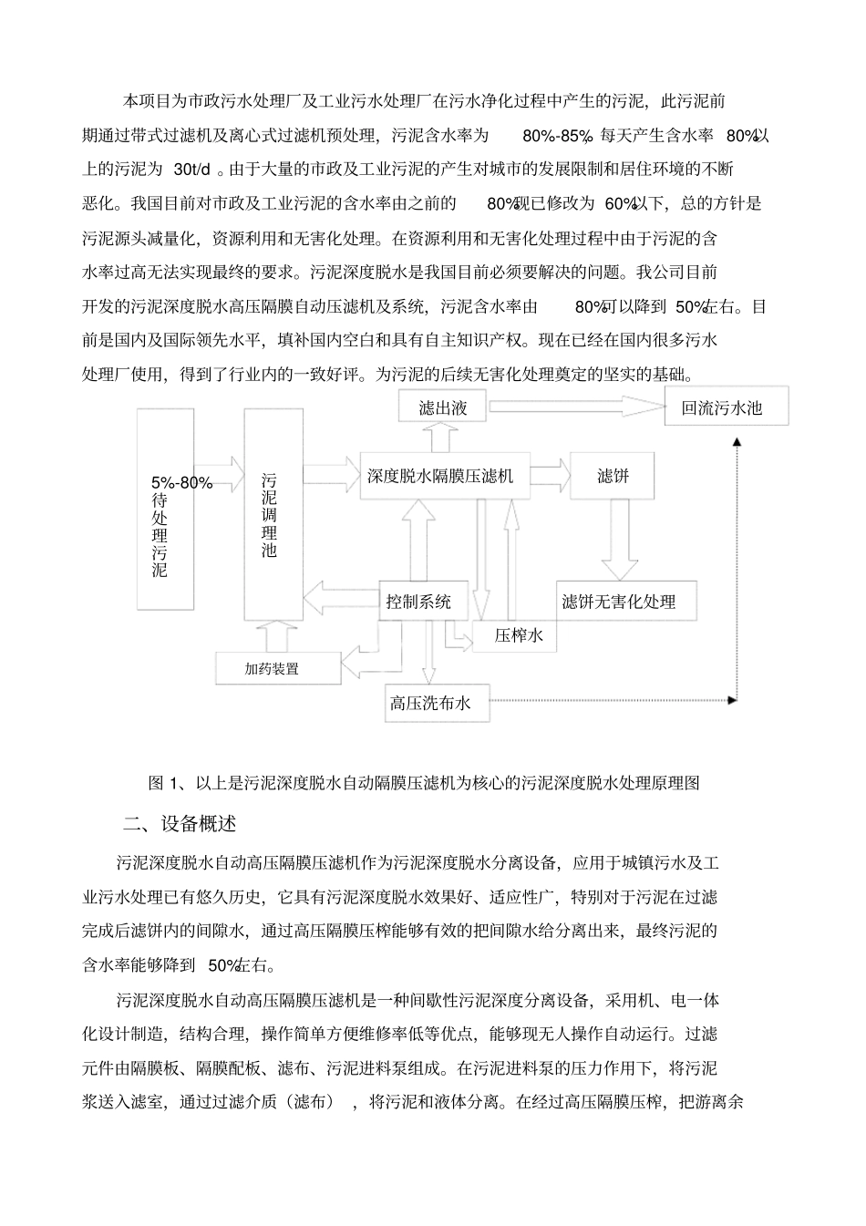 污泥深度脱水可行性方案_第2页