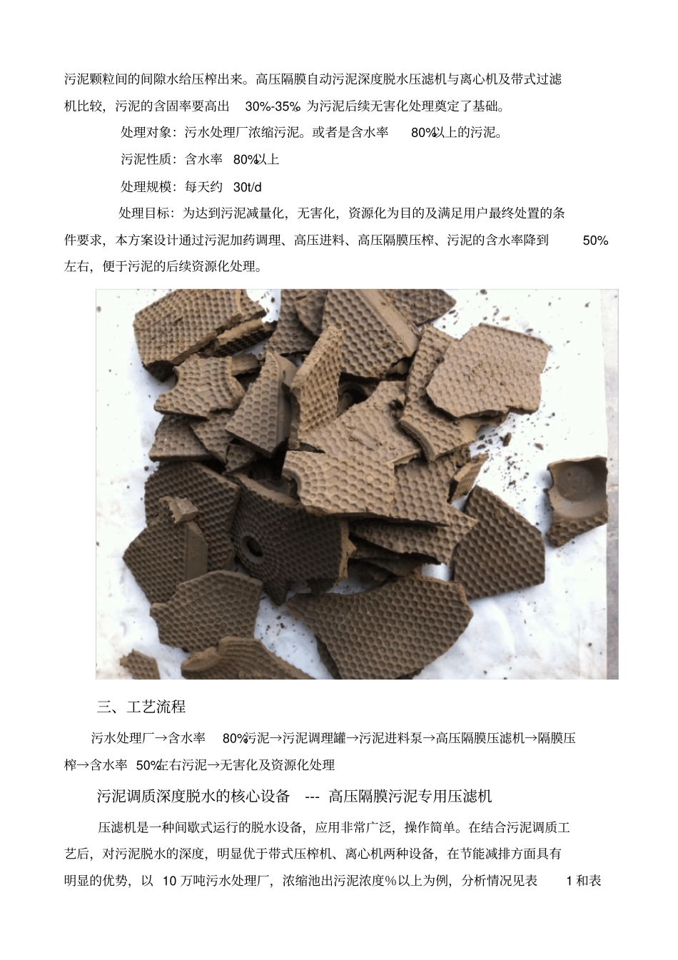 污泥深度脱水可行性方案_第3页