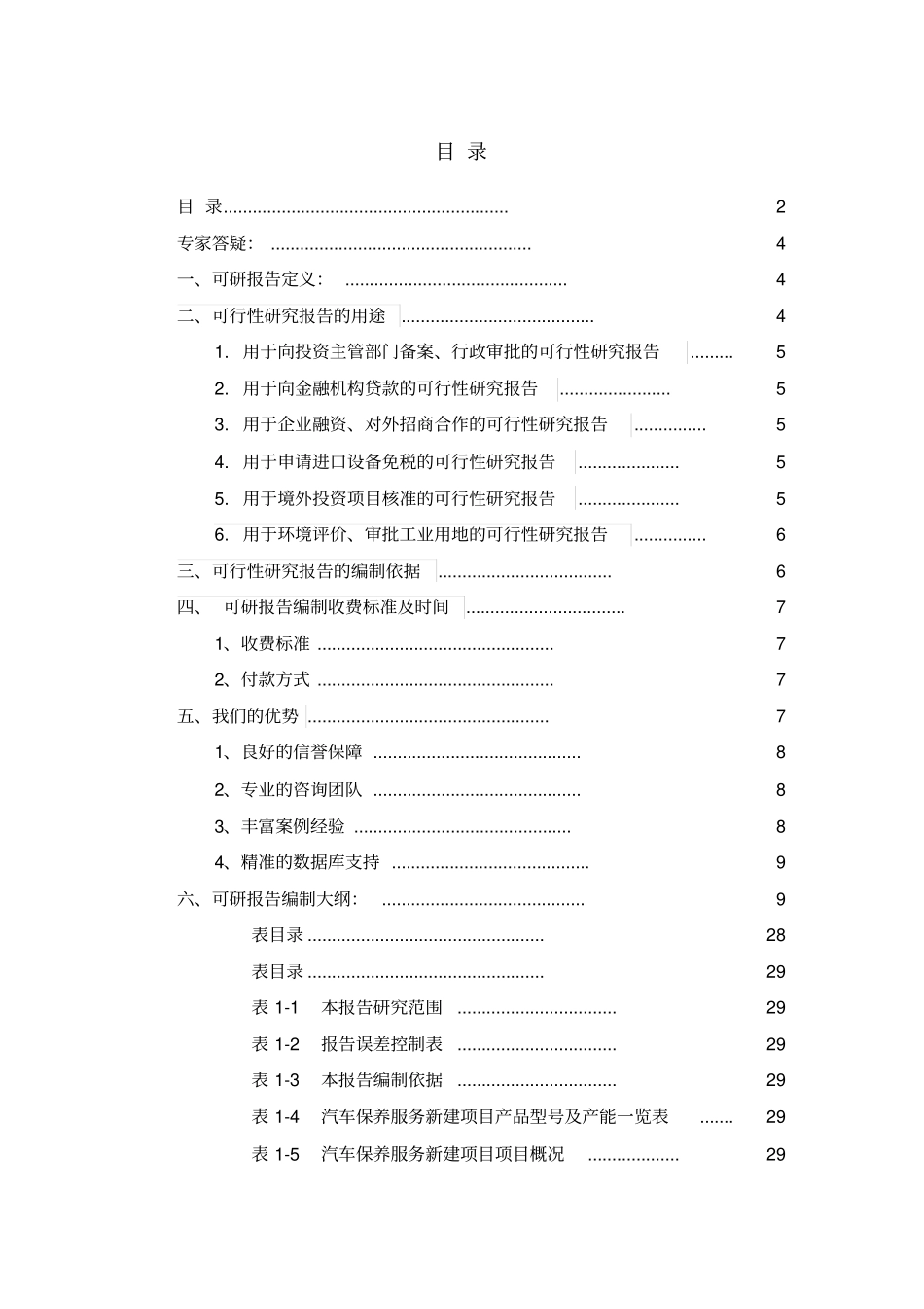 汽车保养服务项目可行性研究报告_第2页