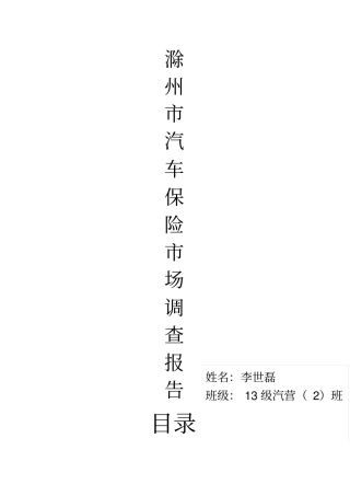 汽车保险场调查报告
