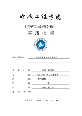 汽车场调查分析实践报告参考样本-20125