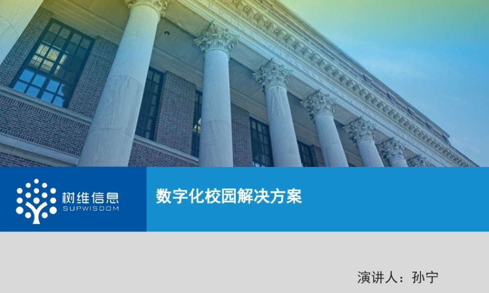 树维信息数字化校园解决方案
