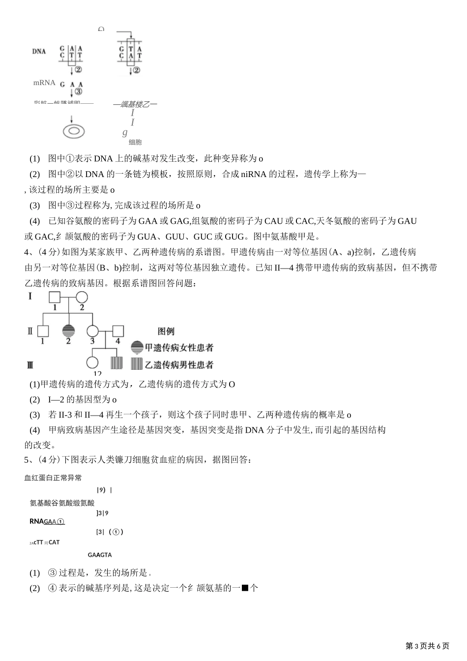 高中生物基因突变和基因重组_第3页
