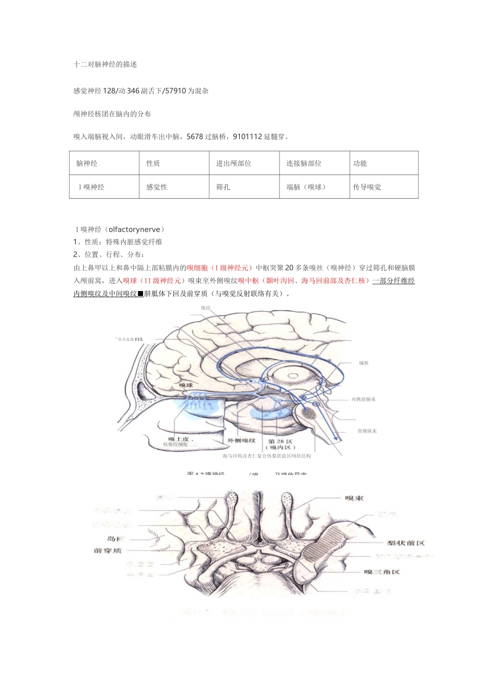十二对脑神经-整理版_第1页