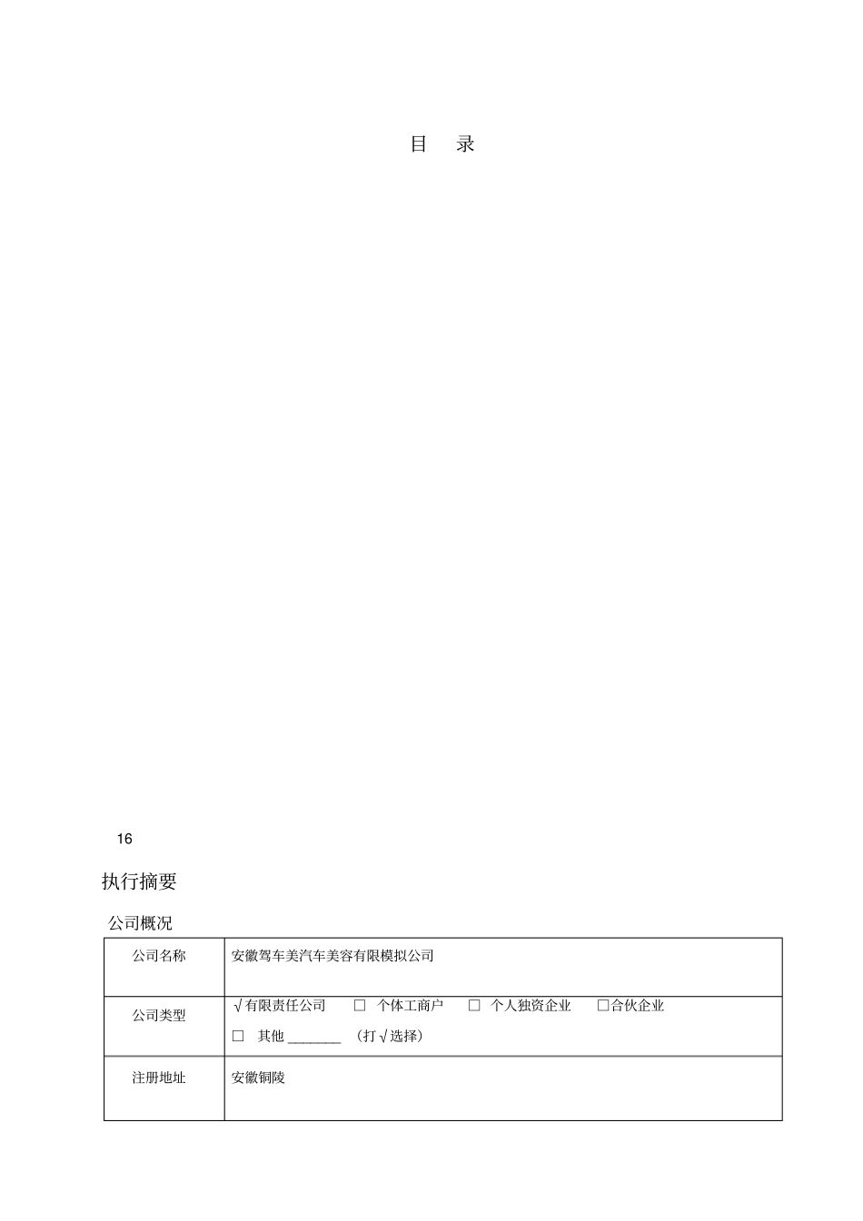 汽车美容商业计划书_第3页