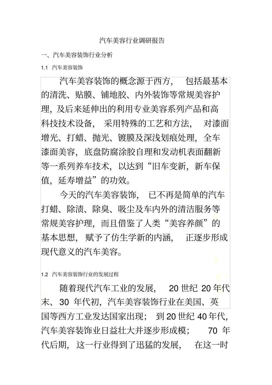 汽车美容行业调研报告_第2页