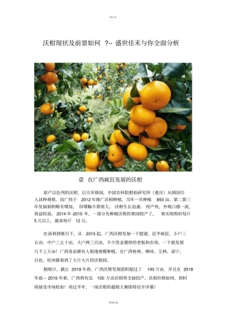 沃柑现状及前景如何--盛世佳禾与你全面分析