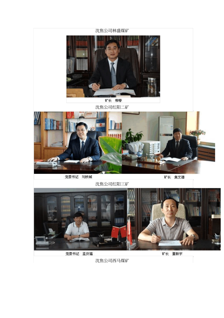 沈阳煤业集团正处级以上领导_第1页