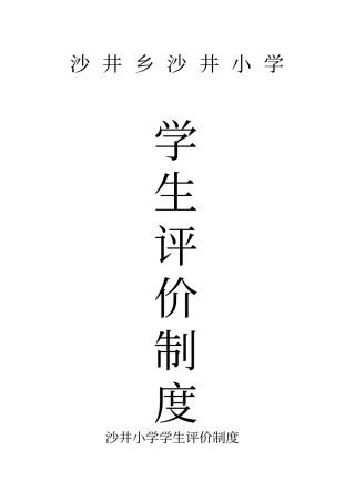 沙井乡沙井小学学生评价制度