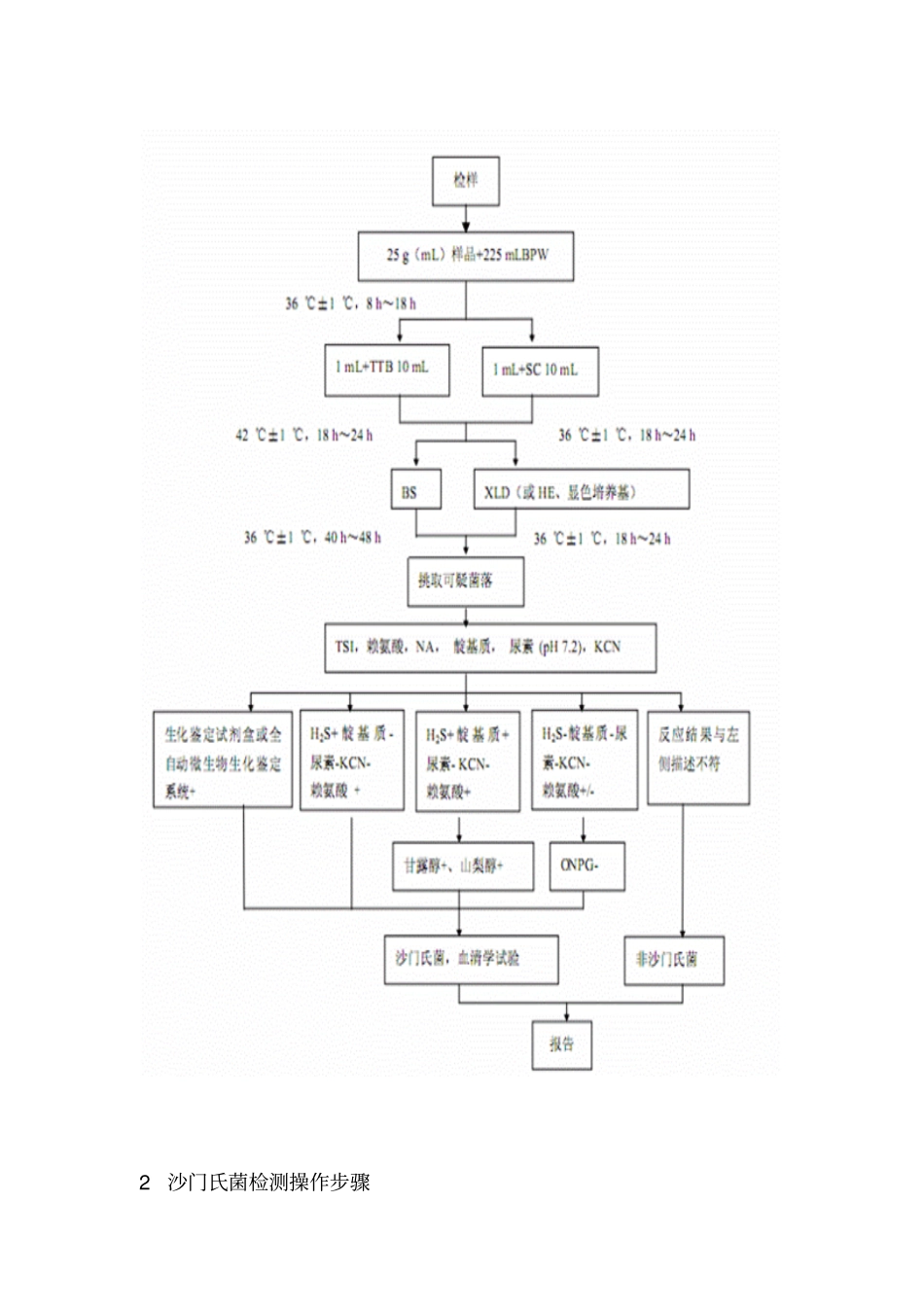 沙门氏菌的检验分析_第3页