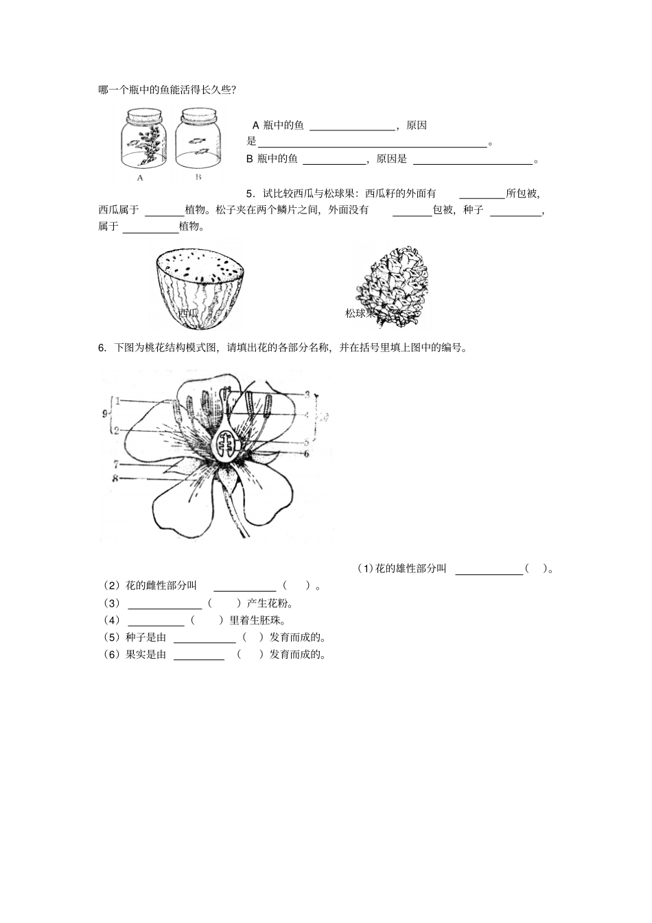 沪教版初中生命科学八年级下生物的主要类群复习练习卷_第3页
