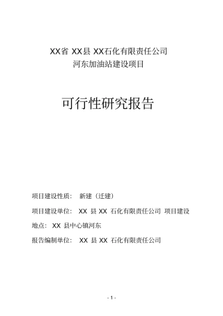河东加油站项目可行性研究报告