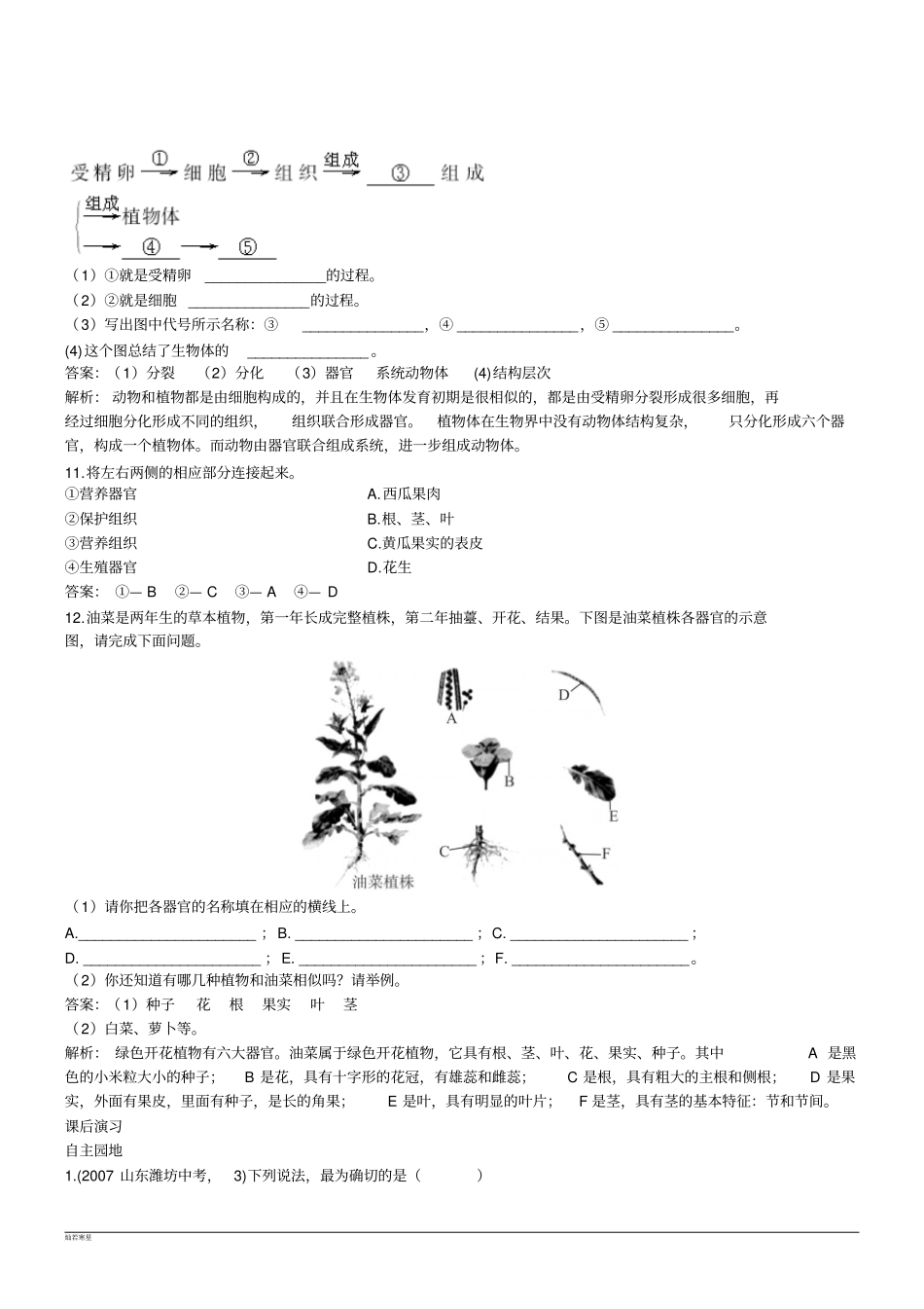 河北少儿版生物七上多细胞生物体同步精练解析版_第3页
