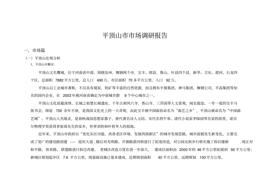 河南平顶山商业场调分析报告_第1页